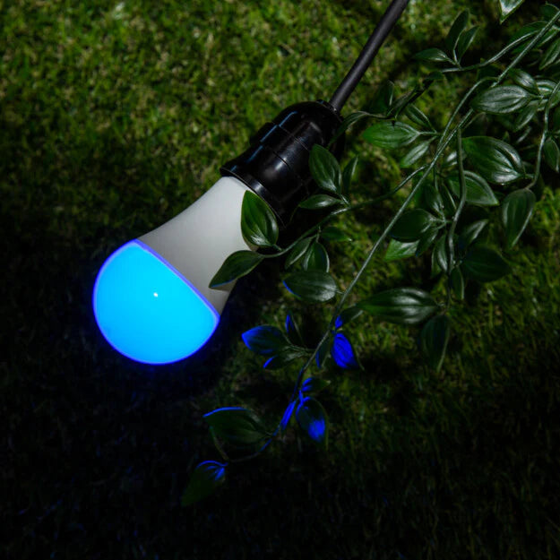 Foco WiFi SHELLY Multicolor te permite controlar la iluminación desde cualquier lugar, ajustar colores, programar horarios y mejorar la eficiencia energética de tu hogar